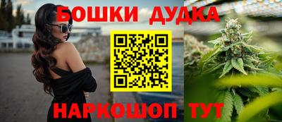 apvp Нальчик
